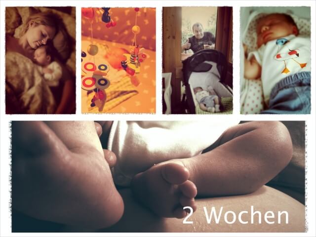 Woche_zwei_4_Collage