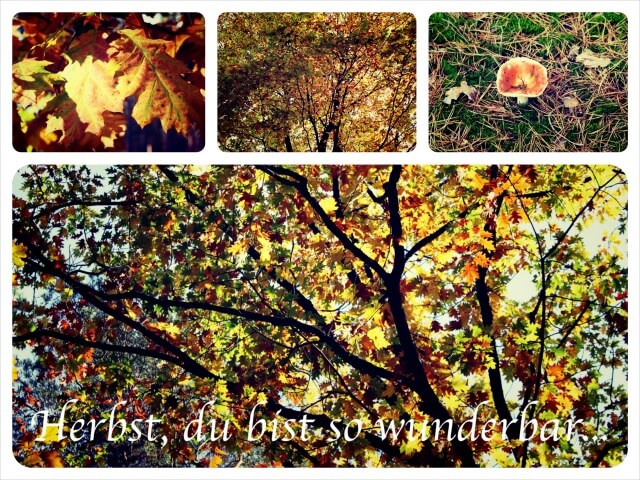 Herbst_Collage