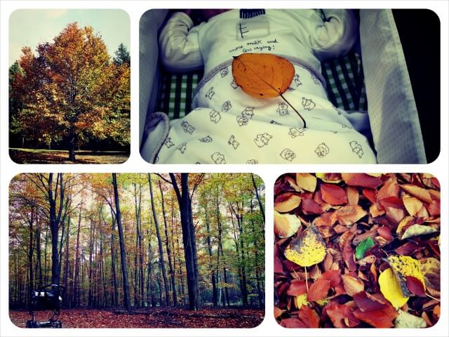 Herbst_2.0_Collage_1