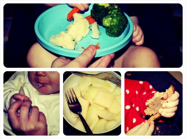 Baby_led_weaning_Monat6_Collage_1