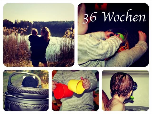 Woche_36_Collage