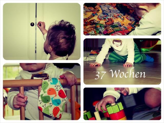 Woche_37_Collage