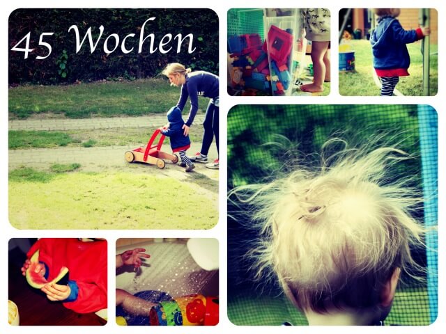 Woche_45_Collage