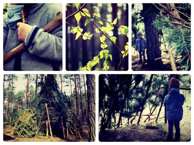 Wald_Collage