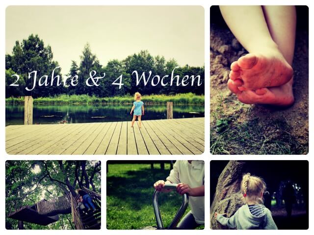 2_Jahre_4_Wochen_Collage