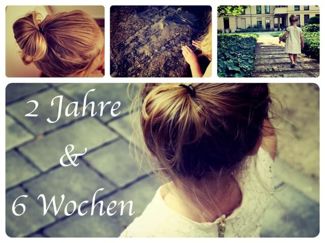 2_Jahre_6_Wochen_Collage