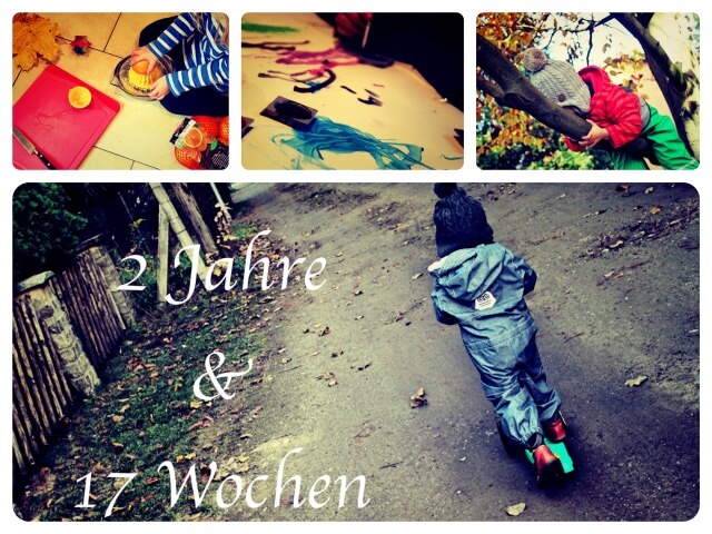 2_Jahre_17_Wochen_Collage