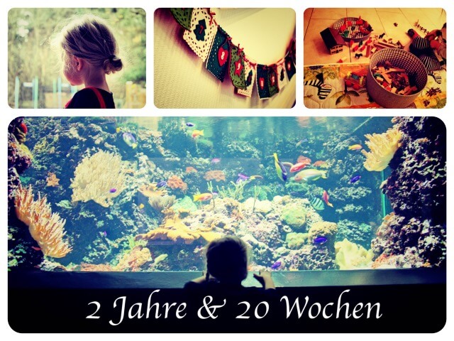 2_Jahre_20_Wochen_Collage