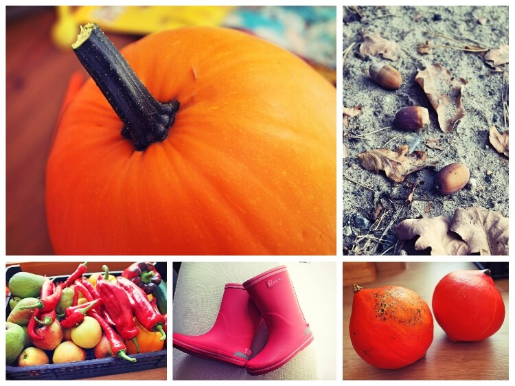 herbst_collage